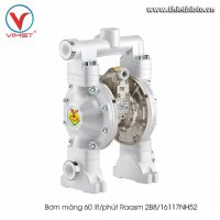 Bơm màng 60 lít/phút Raasm 2B8/16117NH52