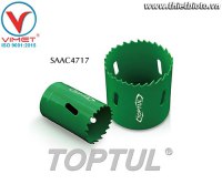 Đục roăng 17mm TOPTUL SAAC4717
