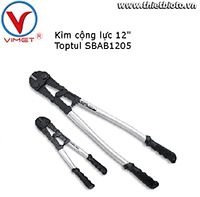 Kìm cộng lực 12